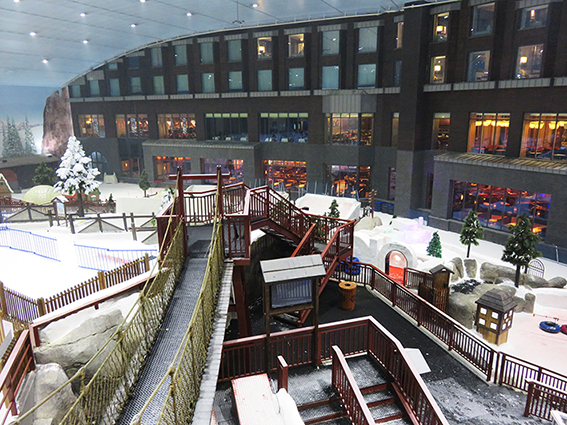 IMG_0734 - Reduced More